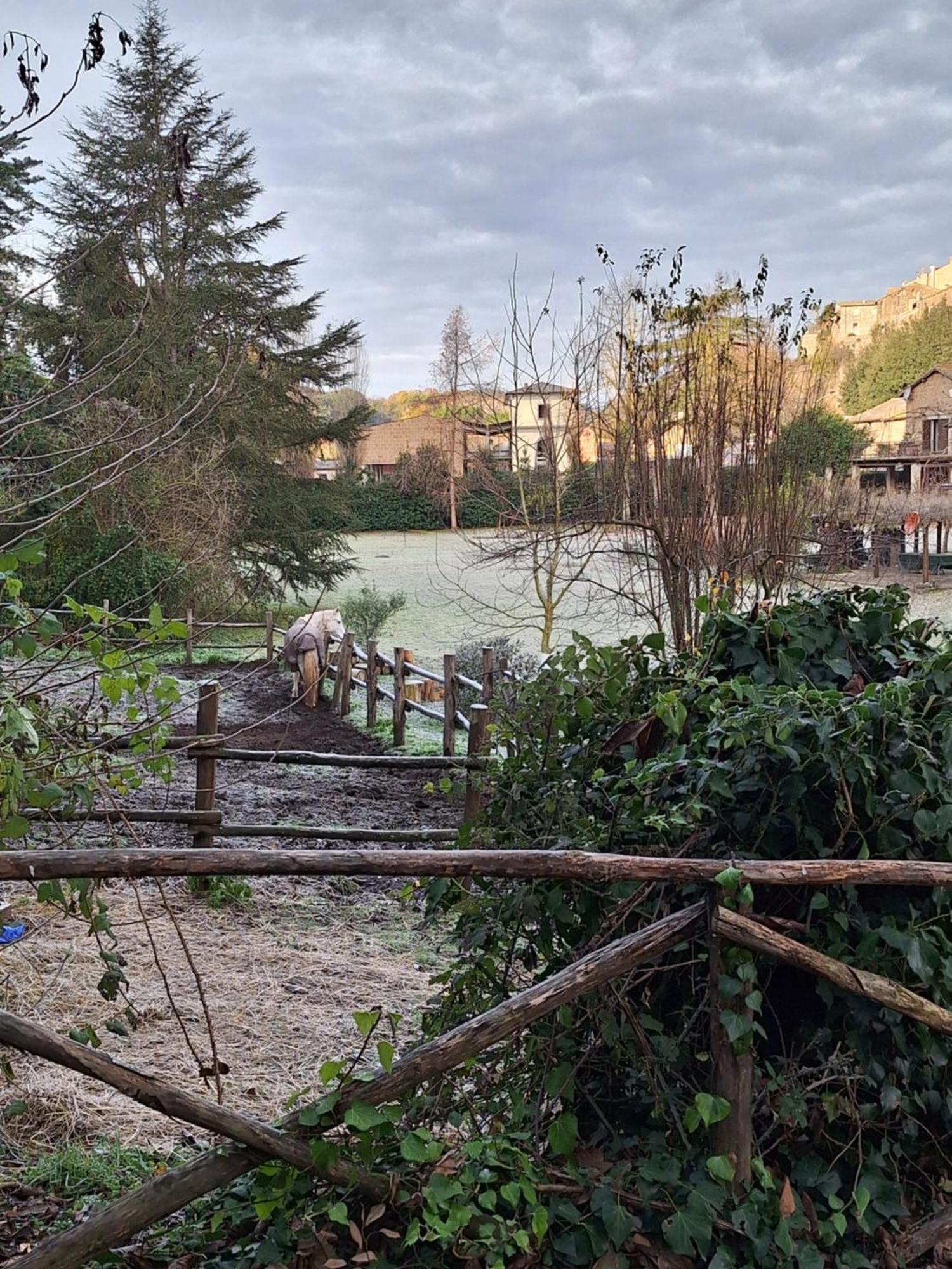 Radici Etrusche Sutri Otel Dış mekan fotoğraf