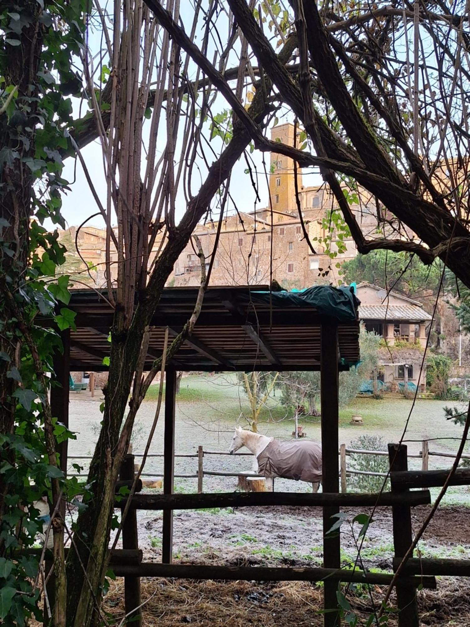 Radici Etrusche Sutri Otel Dış mekan fotoğraf